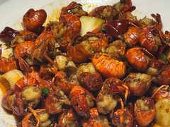-肥肥虾庄·金牌油焖大虾(沙湖店)