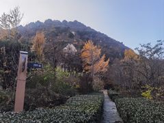 -北京鹫峰国家森林公园