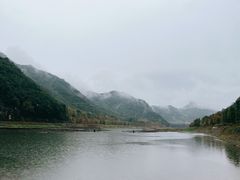 -小芝红树林