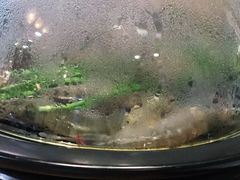 -黄寺蒸汽海鲜(黄寺大街店)