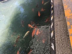 -兰溪地下长河