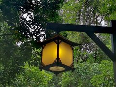 -成都市活水公园