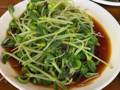 -少林寺欢喜地素斋馆