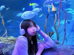 -沈阳海洋探索中心