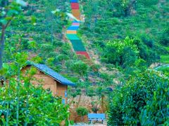 -九龙江国家森林公园