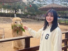 -盈香心动乐园