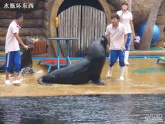 -秦皇岛乐岛海洋王国