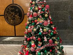 -香港皇家太平洋酒店