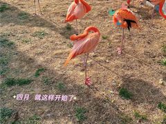 -秦皇岛野生动物园
