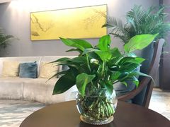 -雅戈尔富宫大酒店(观前街店)