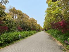 -上海海湾国家森林公园