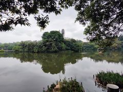 -深圳市中科院仙湖植物园
