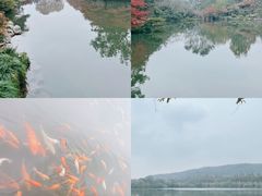 -乾园.魏庐湖景餐厅(花港店)