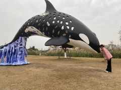 -白鹭湾湿地公园