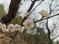 -红螺寺