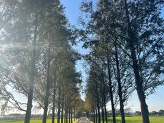-莲花岛景区