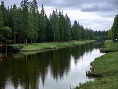 -黄海国家森林公园