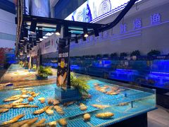 -驻海渔市(置信店)