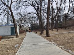 -元大都城垣遗址公园