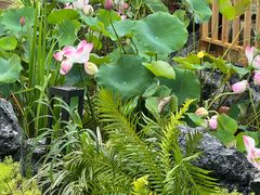 -田园印象·成都土菜院子(华阳店)