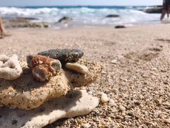 -白沙湾海滩