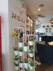 -巴黎拉斐派瑞美发沙龙