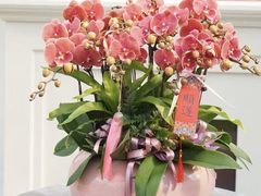 -F.Story 花和故事(新天地店)