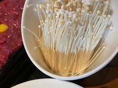 -宽巷子成都火锅(南站店)