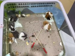 -meland亲子乐园•派对•研学(苏州悠方购物中心店)