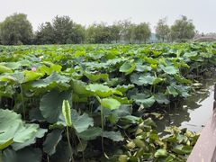 -云龙湖旅游景区