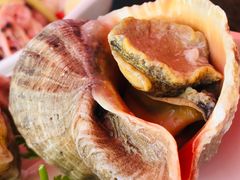 -阿尔法海鲜排档(爱琴海店)