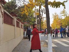 -八大关景区