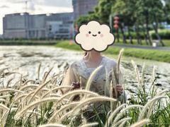 -光明小镇欢乐田园