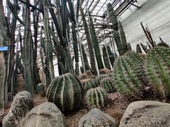 -南山植物园