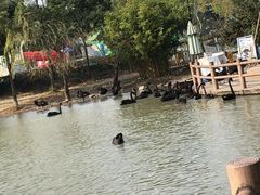 -宁波野生动物园