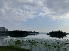 -丁香湖公园