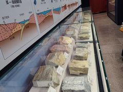 -湖南省地质博物馆