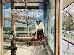 -蓝莓果幼儿园(通州梨园店)