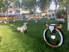 -九十九顶毡房(阜石路店)