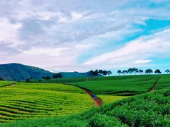 -帐篷客·溪龙茶谷度假酒店