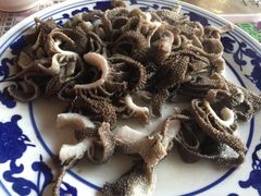 散丹-东兴顺爆肚张