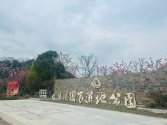 -梁鸿国家湿地公园