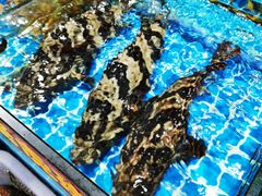 -江杨农产品批发市场