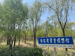 -老君堂公园