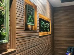 -前海沿·青岛菜(大拇指广场石老人店)