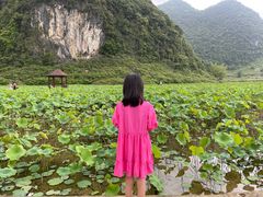 -靖西鹅泉风景区