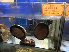 -聚龙酒家(富豪花园店)