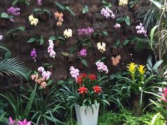 -北京植物园-展览温室