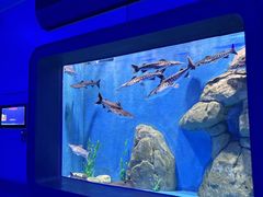 -石家庄极地海洋世界