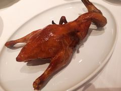 -东富酒家(龙湖西溪天街店)